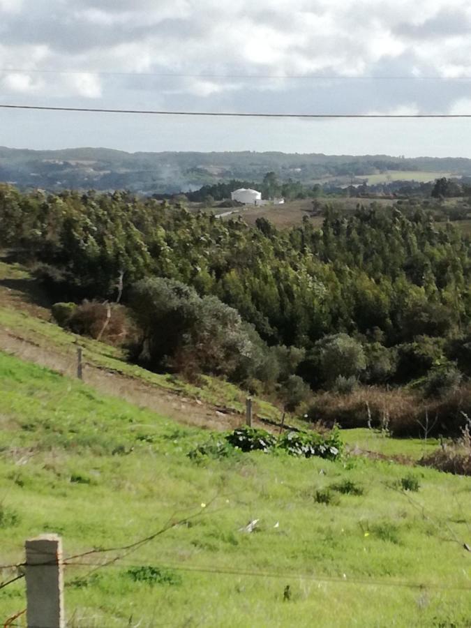 דירות אלג'זור Chabouco 2 מראה חיצוני תמונה